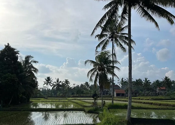 Villa Shri Wedari Private Pool With Ricefield View Tampaksiring