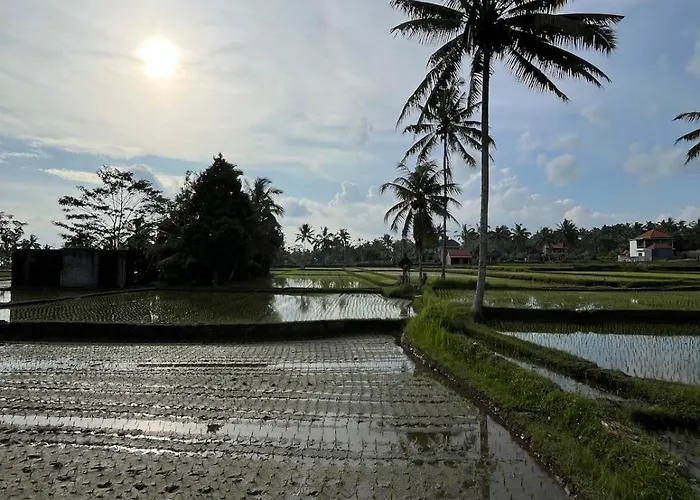 Shri Wedari Private Pool With Ricefield View Villa *