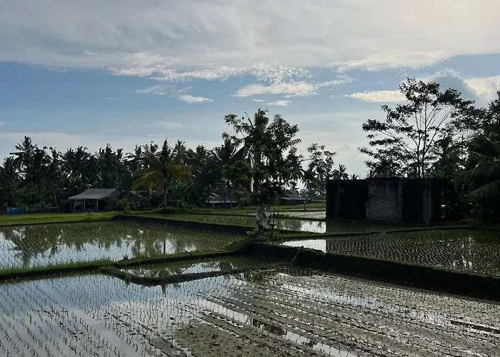 Shri Wedari Private Pool With Ricefield View * Tampaksiring