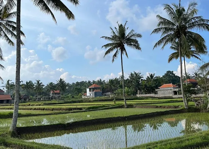 Villa Shri Wedari Private Pool With Ricefield View