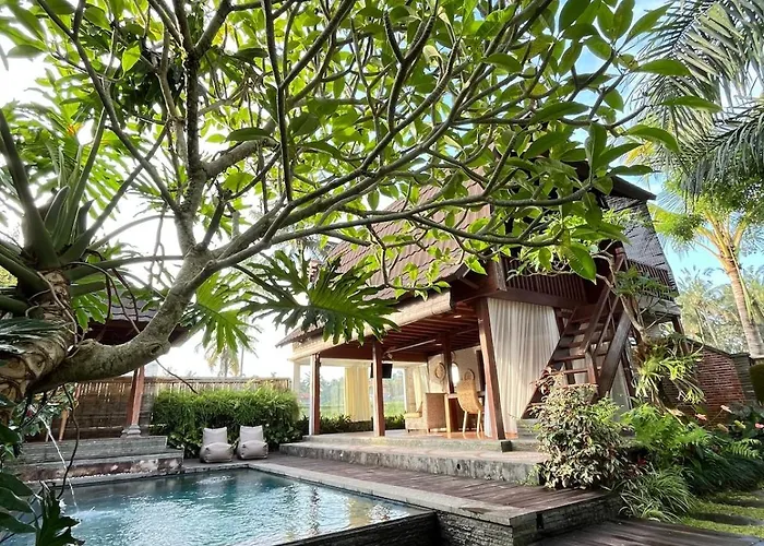 Shri Wedari Private Pool With Ricefield View * Tampaksiring